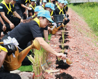 ผู้ว่าฯ สุราษฎร์ธานี นำจิตอาสาพระราชทาน ทำกิจกรรมจิตอาสาพัฒน ... พารามิเตอร์รูปภาพ 54