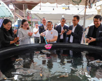 สุราษฎร์ธานีจัดใหญ่ “Taste of Surat เทศกาลกินกุ้งสุราษฎร์” ก ... พารามิเตอร์รูปภาพ 1