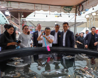 สุราษฎร์ธานีจัดใหญ่ “Taste of Surat เทศกาลกินกุ้งสุราษฎร์” ก ... พารามิเตอร์รูปภาพ 25