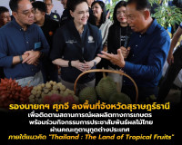 รองนายกฯ ศุภจี ลงพื้นที่จังหวัดสุราษฎร์ธานี เพื่อติดตามสถานก ... พารามิเตอร์รูปภาพ 15