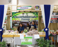 ผู้ว่าราชการจังหวัดสุราษฎร์ธานี เปิดงาน “มหกรรมความสำเร็จการ ... พารามิเตอร์รูปภาพ 3