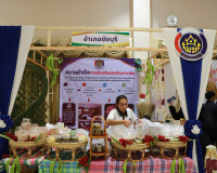ผู้ว่าราชการจังหวัดสุราษฎร์ธานี เปิดงาน “มหกรรมความสำเร็จการ ... พารามิเตอร์รูปภาพ 13