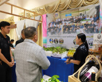 ผู้ว่าราชการจังหวัดสุราษฎร์ธานี เปิดงาน “มหกรรมความสำเร็จการ ... พารามิเตอร์รูปภาพ 26