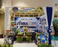 ผู้ว่าราชการจังหวัดสุราษฎร์ธานี เปิดงาน “มหกรรมความสำเร็จการ ... พารามิเตอร์รูปภาพ 40