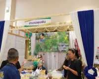 ผู้ว่าราชการจังหวัดสุราษฎร์ธานี เปิดงาน “มหกรรมความสำเร็จการ ... พารามิเตอร์รูปภาพ 41
