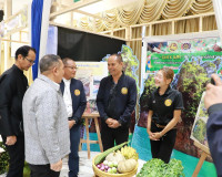 ผู้ว่าราชการจังหวัดสุราษฎร์ธานี เปิดงาน “มหกรรมความสำเร็จการ ... พารามิเตอร์รูปภาพ 50