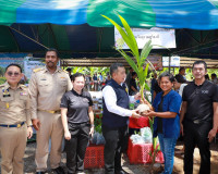 ผู้ว่าฯ สุราษฎร์ธานี นำบริการรัฐถึงชุมชน เปิดโครงการ ‘บำบัดท ... พารามิเตอร์รูปภาพ 74