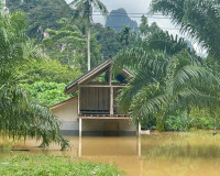ผู้ว่าฯ สุราษฎร์ธานี ลงพื้นที่ตำบลคลองศก อำเภอพนม ติดตามสถาน ... พารามิเตอร์รูปภาพ 12