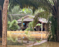 ผู้ว่าฯ สุราษฎร์ธานี ลงพื้นที่ตำบลคลองศก อำเภอพนม ติดตามสถาน ... พารามิเตอร์รูปภาพ 15
