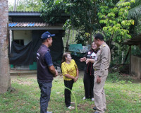 พ่อเมืองสุราษฎร์ธานีห่วงใยครัวเรือนเปราะบาง มอบหน่วยงานที่เก ... พารามิเตอร์รูปภาพ 17