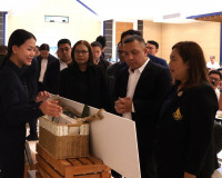 ผู้ว่าฯ สุราษฎร์ธานี เปิดโครงการ “ปาล์มคูณสอง” ผนึกกำลังรัฐ– ... พารามิเตอร์รูปภาพ 14