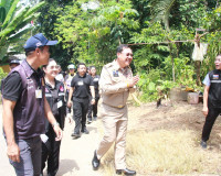 ผู้ว่าฯ สุราษฎร์ธานีห่วงใยประชาชนกลุ่มเปราะบาง มอบหน่วยงานที ... พารามิเตอร์รูปภาพ 5