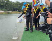จังหวัดสุราษฎร์ธานี จัดกิจกรรมจิตอาสาพัฒนาและบริการประชาชน เ ... พารามิเตอร์รูปภาพ 21