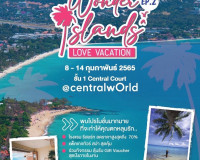 ผู้ประกอบการธุรกิจท่องเที่ยวใน จ.สุราษฎร์ธานี ร่วมส่งเสริมกา ... พารามิเตอร์รูปภาพ 11