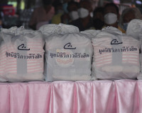 จ.สุราษฎร์ธานี จัดพิธี “วันวิภาวดี ” สดุดีวีรกรรมพระเจ้าวรวง ... พารามิเตอร์รูปภาพ 12