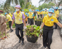 ผู้ว่าฯ สุราษฎร์ธานี นำจิตอาสาพระราชทานและประชาชน ร่วมพัฒนาข ... พารามิเตอร์รูปภาพ 15