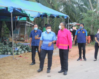 ผู้ว่าราชการจังหวัดสุราษฎร์ธานี ปล่อยคาราวานแตงโมทุ่งอ่าว กว ... พารามิเตอร์รูปภาพ 2