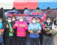 ผู้ว่าราชการจังหวัดสุราษฎร์ธานี ปล่อยคาราวานแตงโมทุ่งอ่าว กว ... พารามิเตอร์รูปภาพ 5