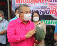 ผู้ว่าราชการจังหวัดสุราษฎร์ธานี ปล่อยคาราวานแตงโมทุ่งอ่าว กว ... พารามิเตอร์รูปภาพ 7