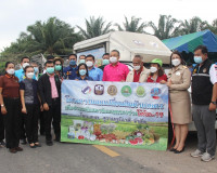 ผู้ว่าราชการจังหวัดสุราษฎร์ธานี ปล่อยคาราวานแตงโมทุ่งอ่าว กว ... พารามิเตอร์รูปภาพ 10