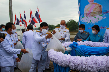IMG_9866.jpg