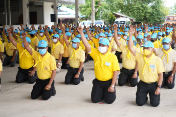 a9.jpg
